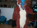 murrsuit 073.jpg